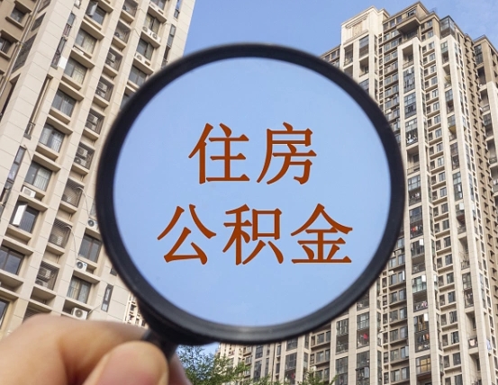 长兴退休后查不到公积金明细了吗（退休后公积金查询不到原因）